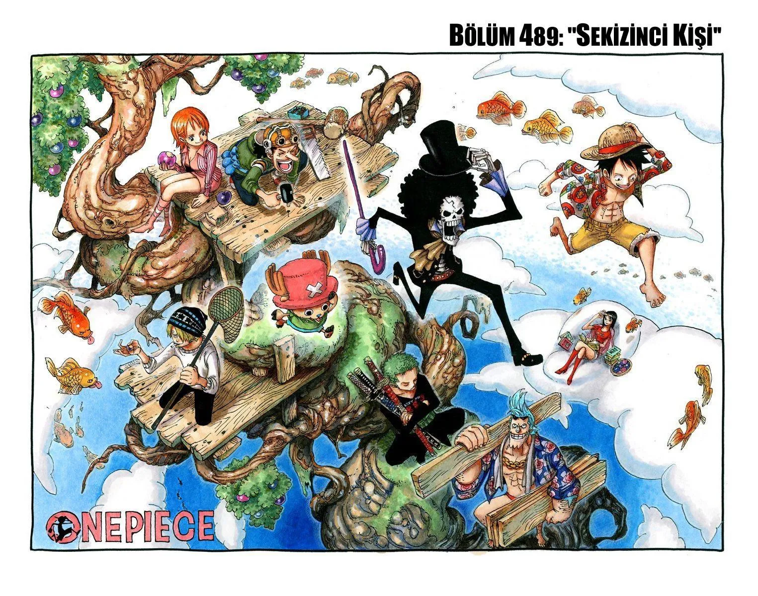 One Piece [Renkli] - Sayfa 2
