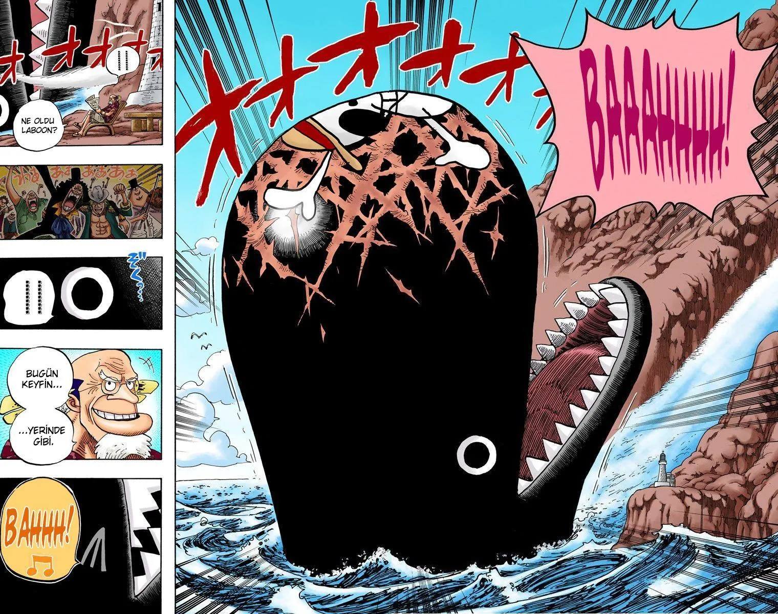 One Piece [Renkli] - Sayfa 9