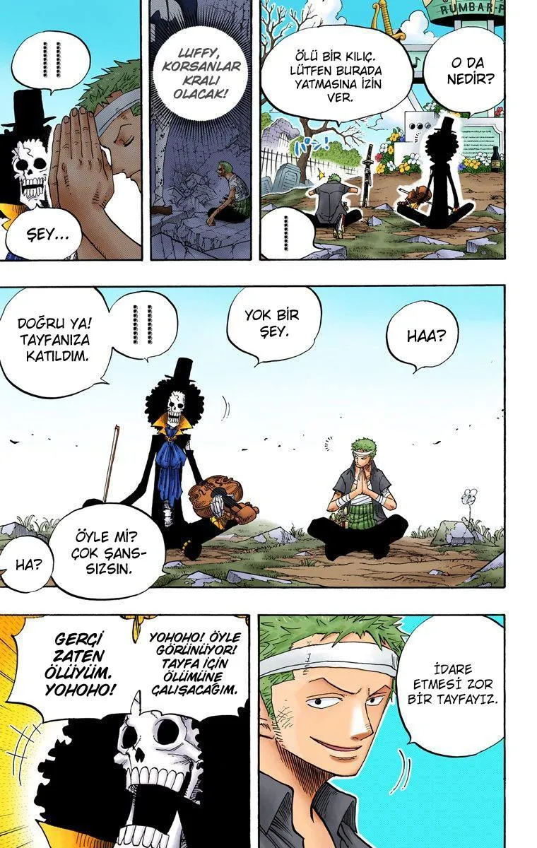 One Piece [Renkli] - Sayfa 13