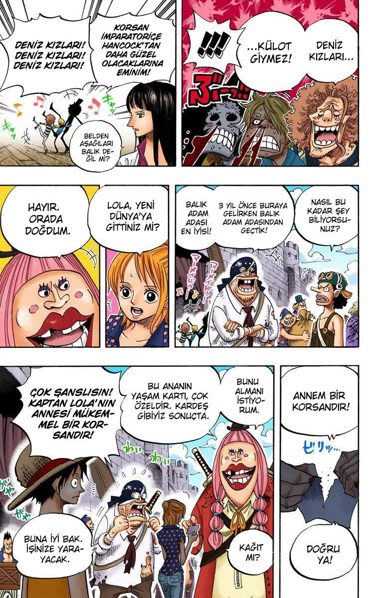 One Piece [Renkli] - Sayfa 15