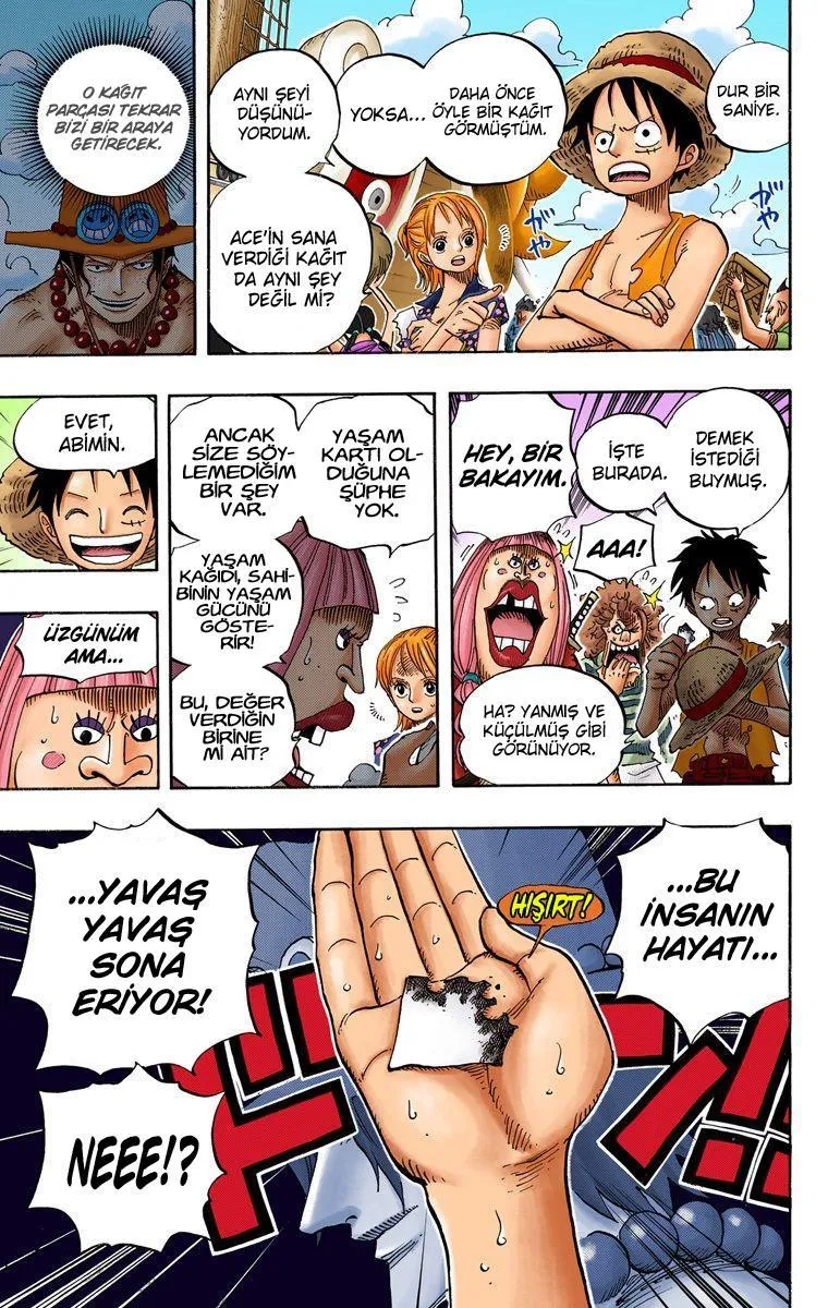 One Piece [Renkli] - Bölüm 0489 - Sayfa 17