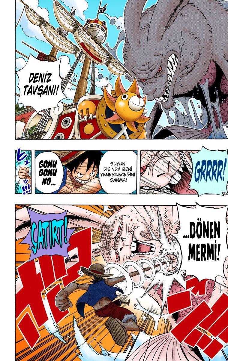 One Piece [Renkli] mangasının 0490 bölümünün 16. sayfasını okuyorsunuz.