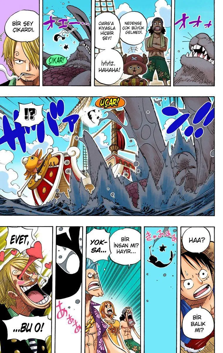 One Piece [Renkli] - Sayfa 17