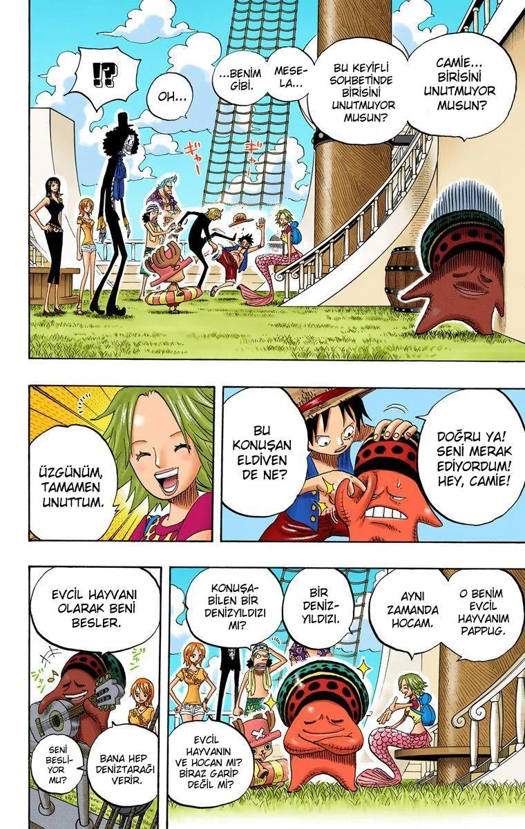 One Piece [Renkli] - Sayfa 5