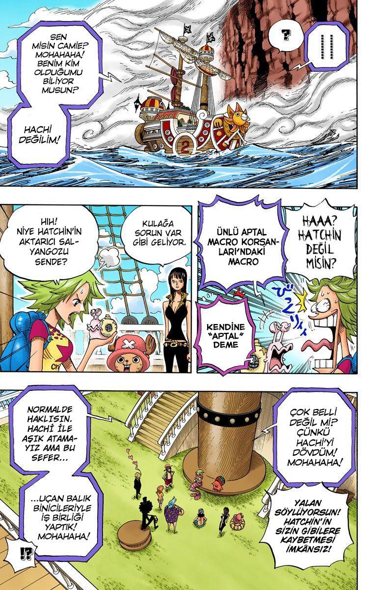 One Piece [Renkli] mangasının 0491 bölümünün 8. sayfasını okuyorsunuz.