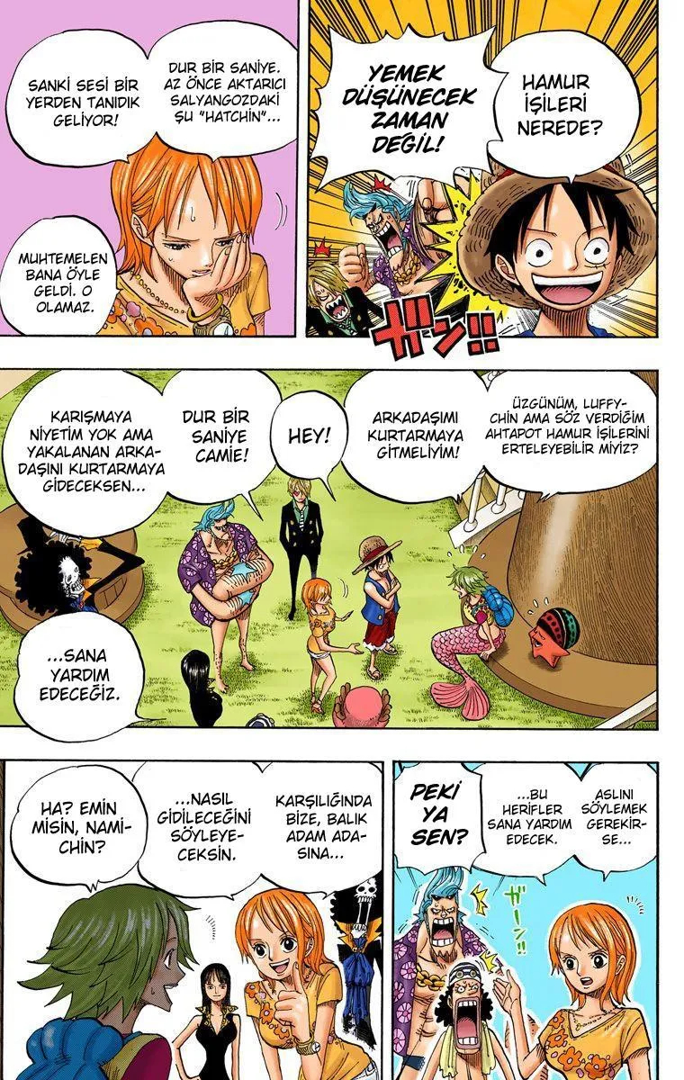 One Piece [Renkli] - Sayfa 10