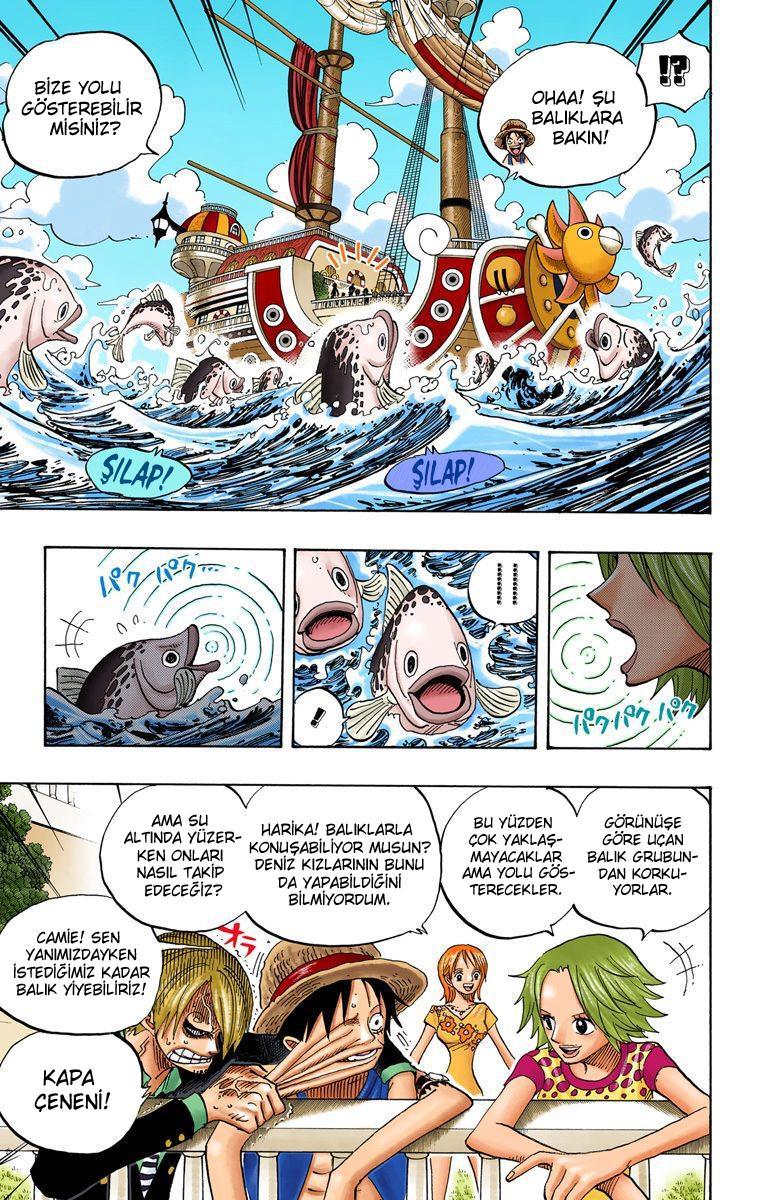 One Piece [Renkli] mangasının 0491 bölümünün 12. sayfasını okuyorsunuz.