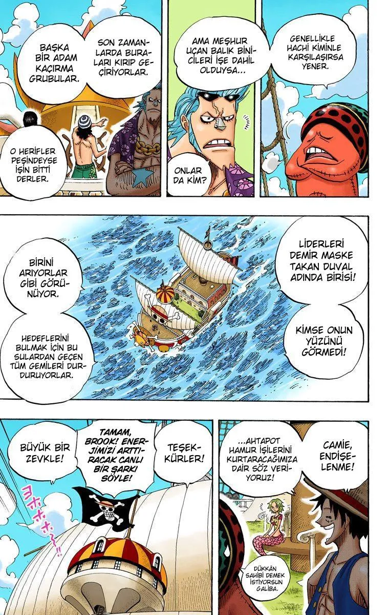 One Piece [Renkli] - Sayfa 16