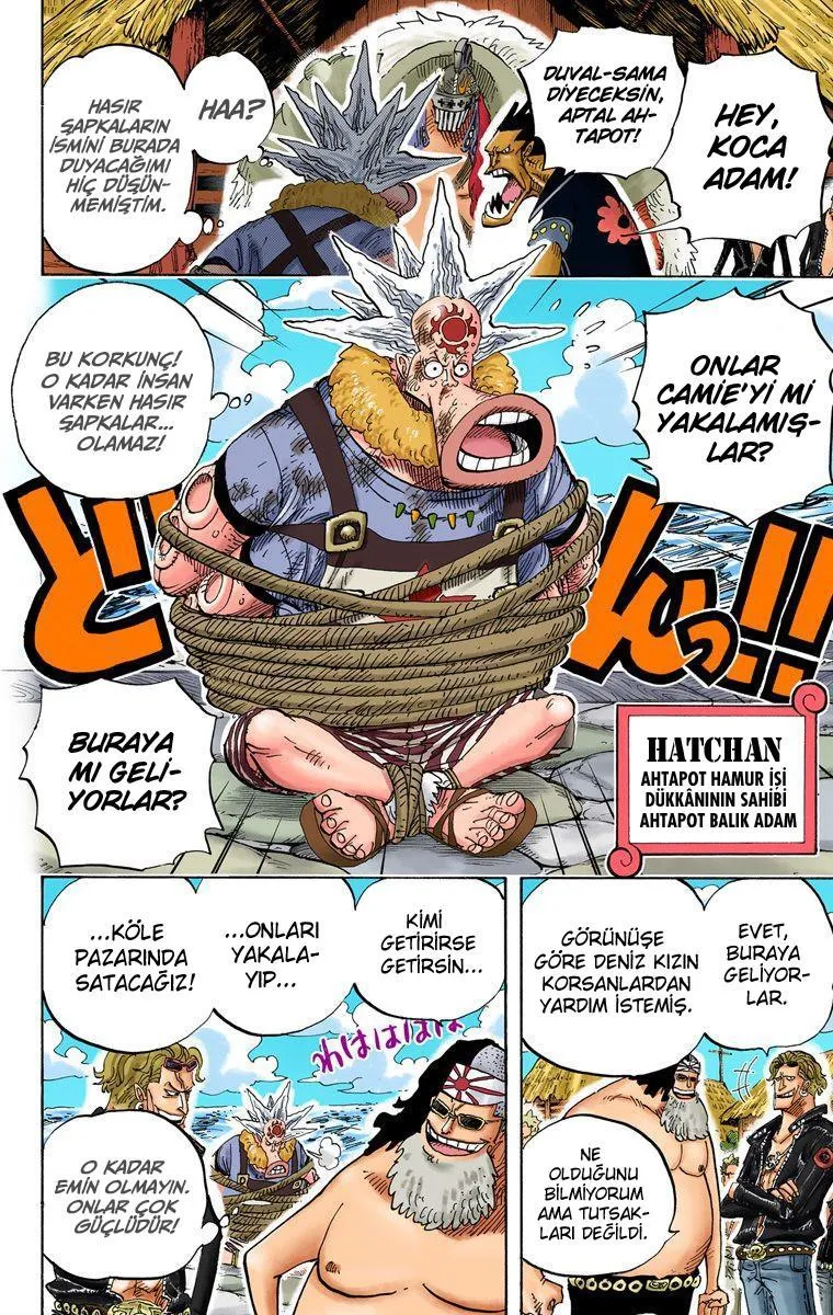 One Piece [Renkli] - Sayfa 9