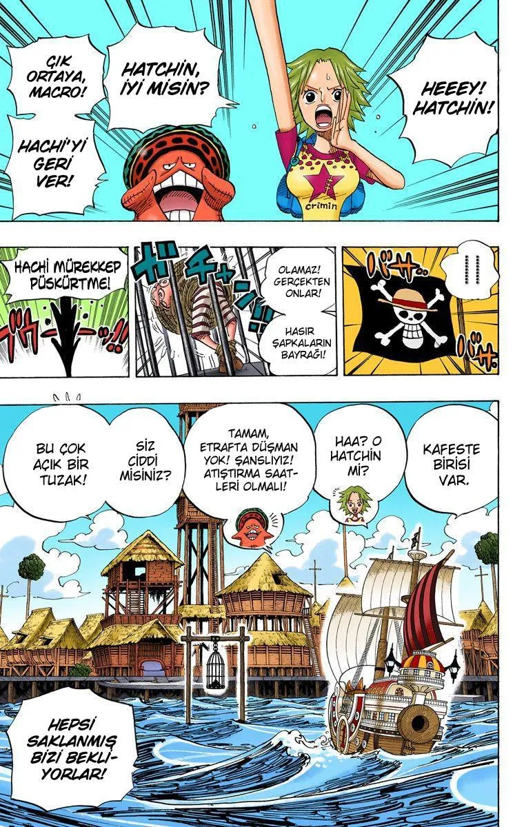 One Piece [Renkli] - Sayfa 12