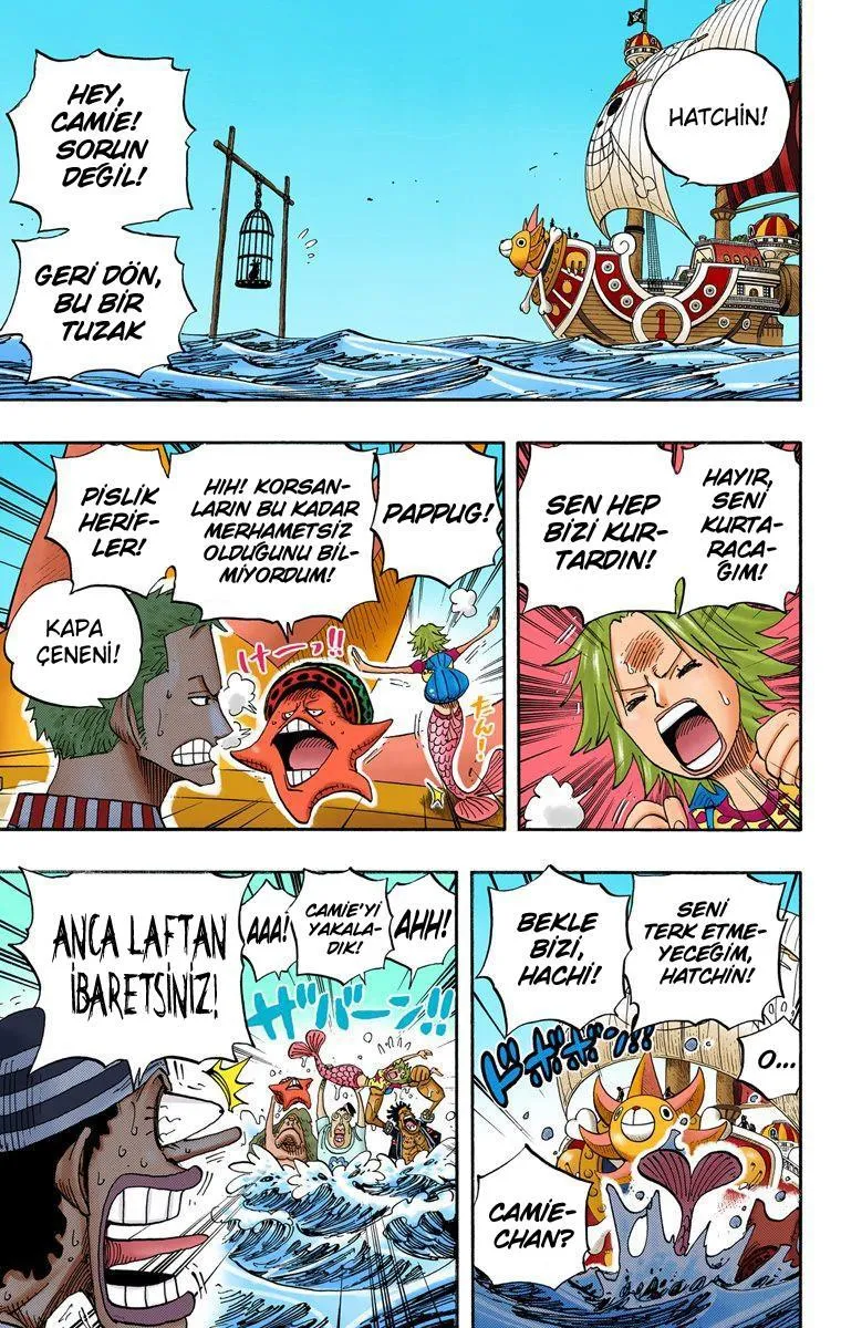 One Piece [Renkli] - Sayfa 16