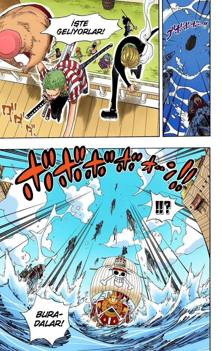 One Piece [Renkli] - Sayfa 4