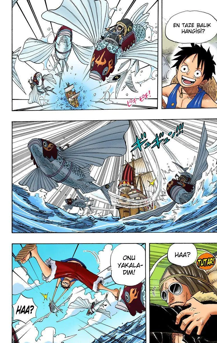 One Piece [Renkli] - Sayfa 5
