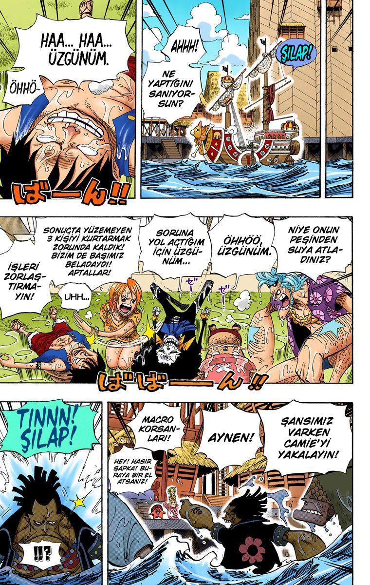 One Piece [Renkli] mangasının 0493 bölümünün 8. sayfasını okuyorsunuz.