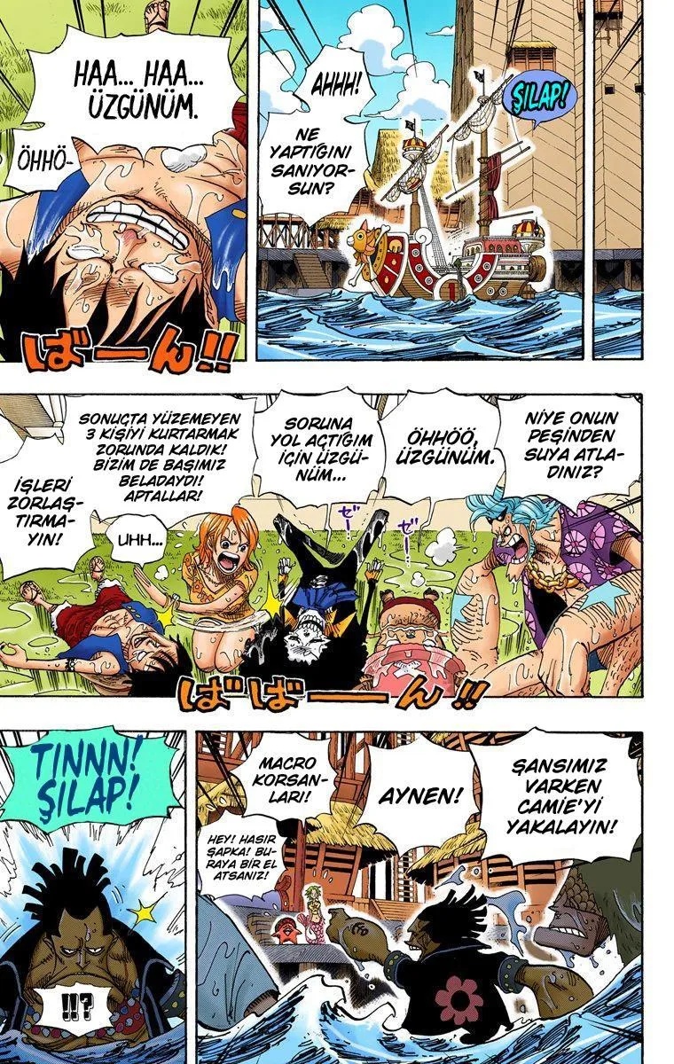 One Piece [Renkli] - Sayfa 8