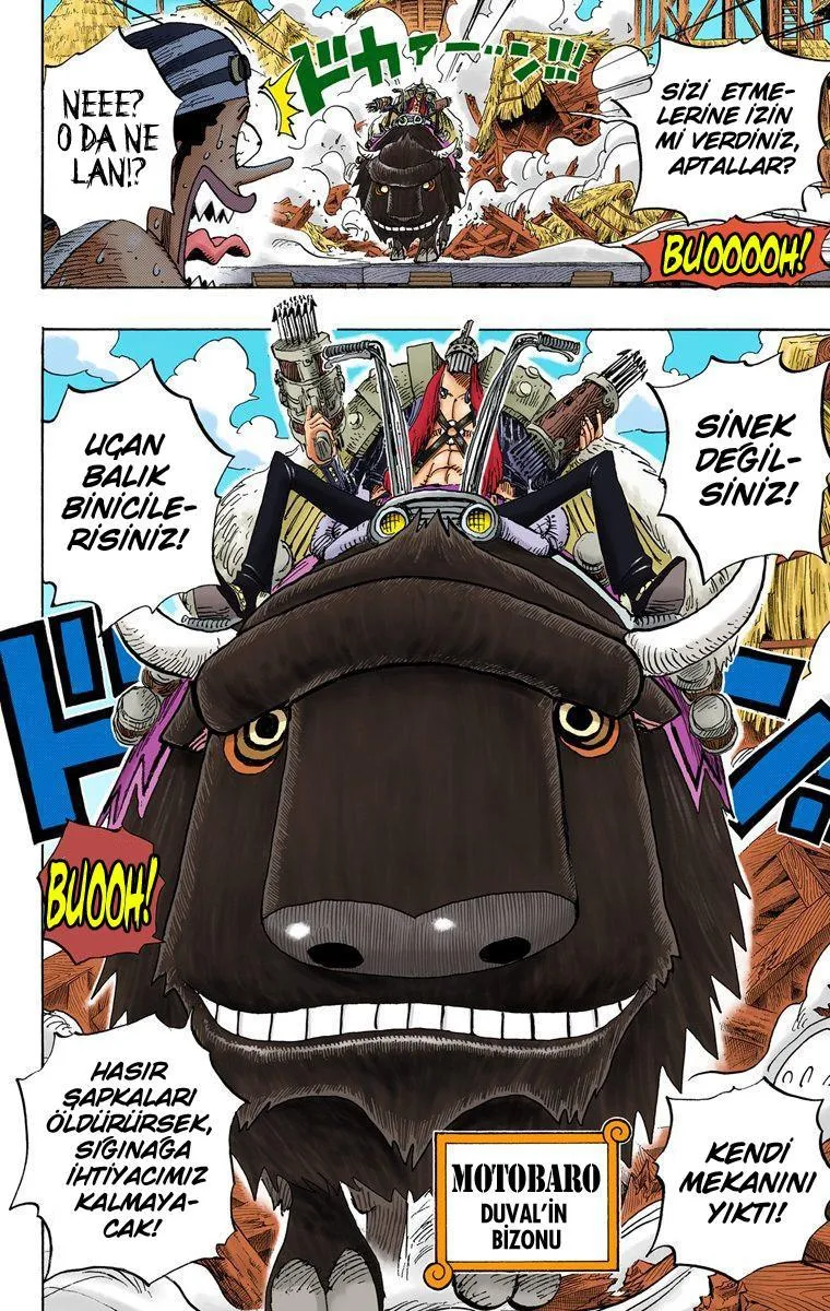 One Piece [Renkli] - Sayfa 11