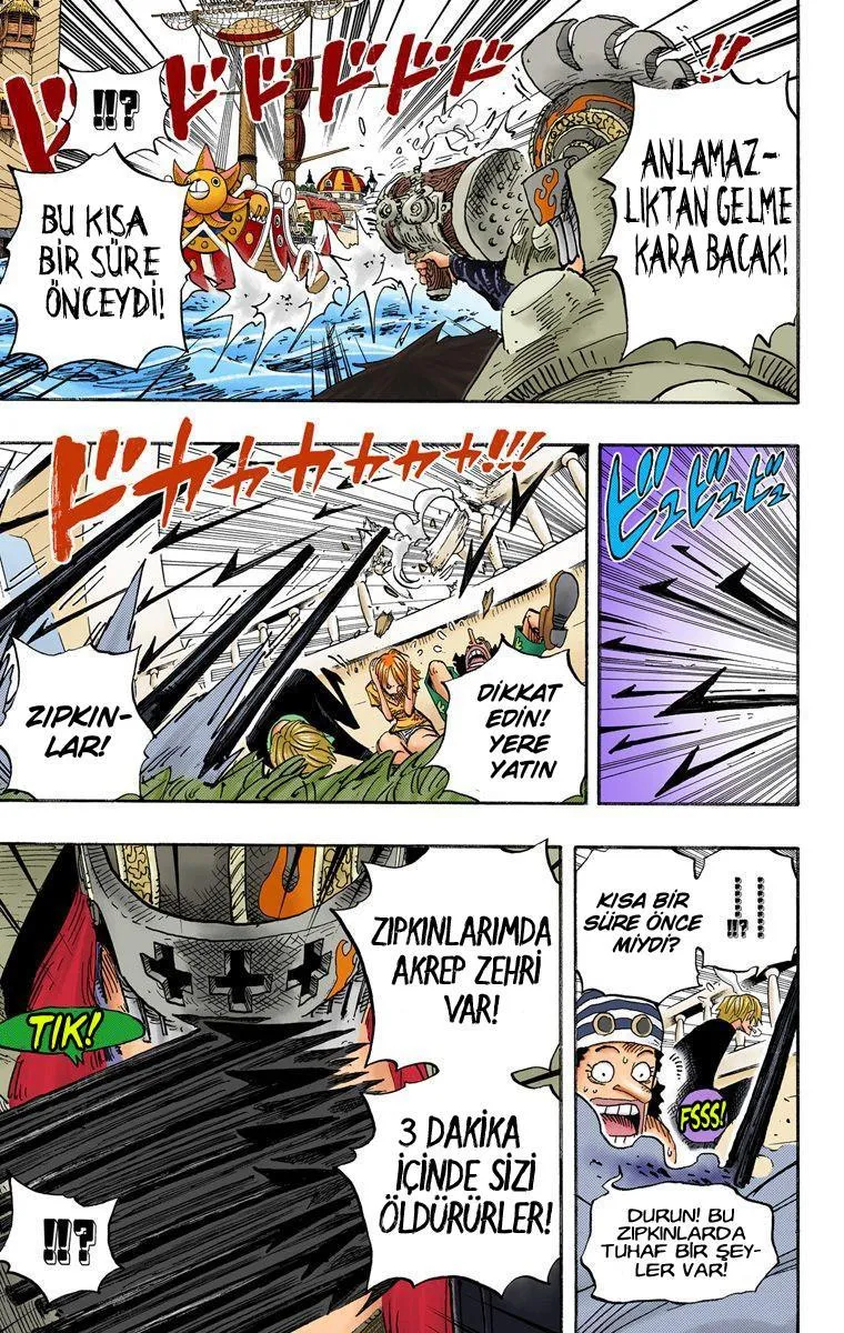 One Piece [Renkli] - Sayfa 14