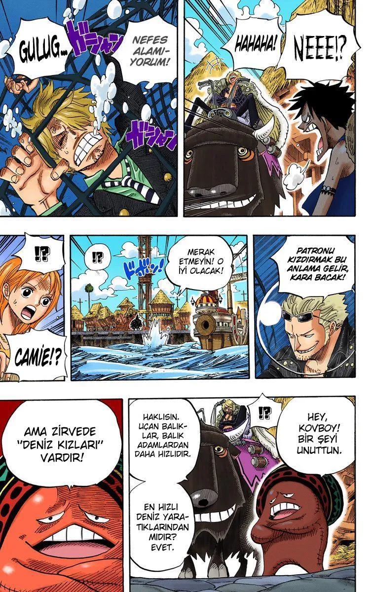 One Piece [Renkli] - Sayfa 8