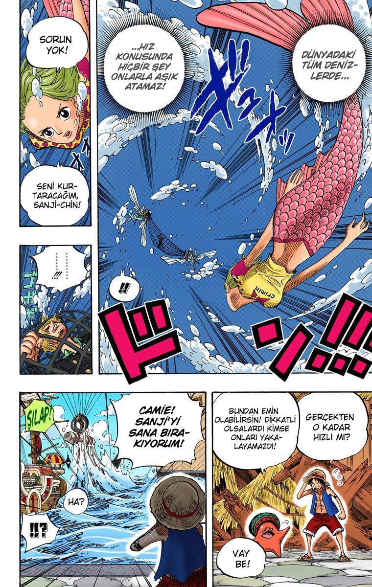 One Piece [Renkli] mangasının 0495 bölümünün 9. sayfasını okuyorsunuz.