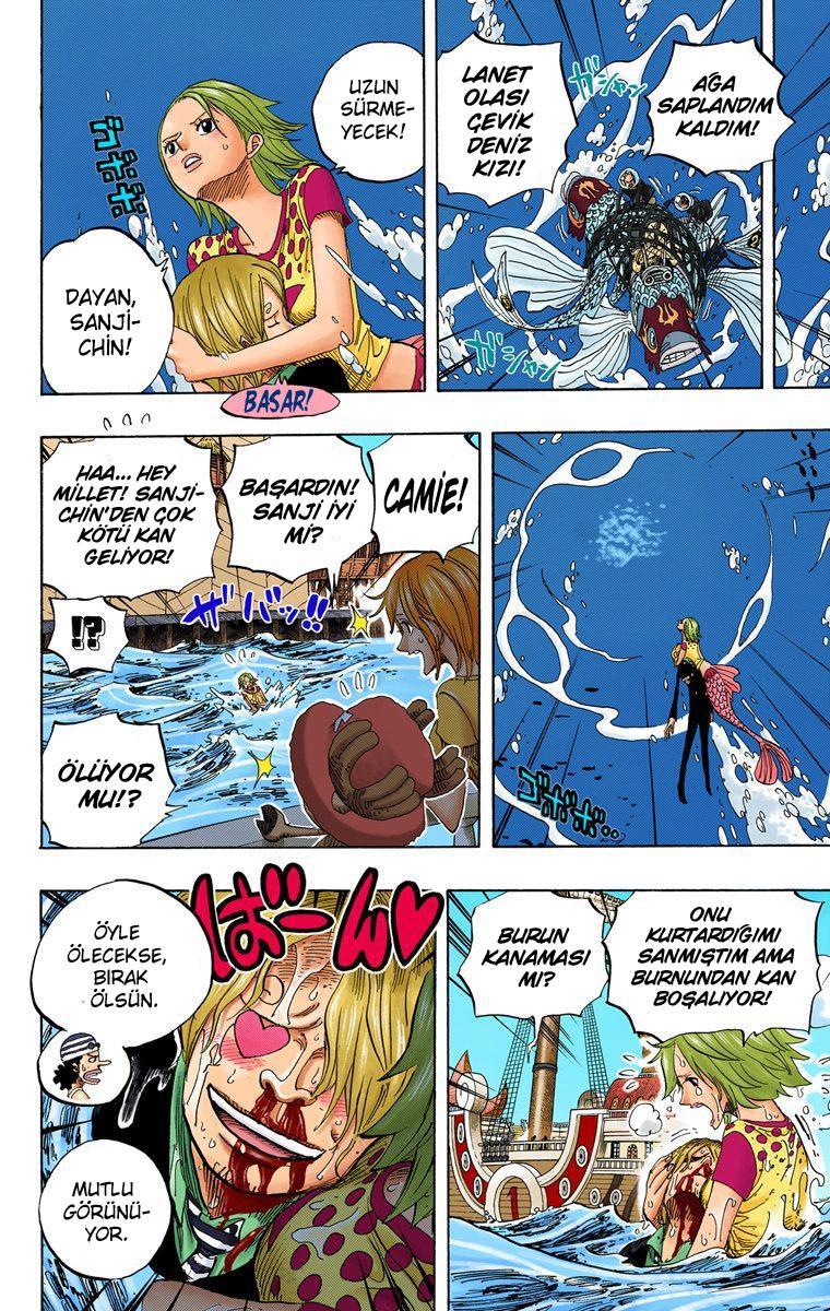 One Piece [Renkli] mangasının 0495 bölümünün 15. sayfasını okuyorsunuz.