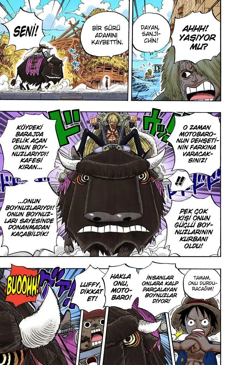 One Piece [Renkli] - Sayfa 16