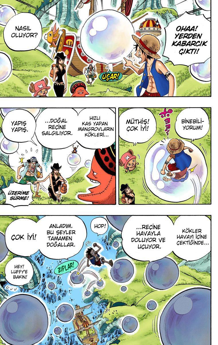 One Piece [Renkli] mangasının 0496 bölümünün 17. sayfasını okuyorsunuz.