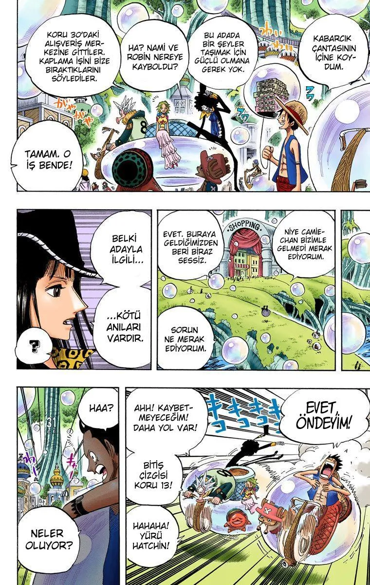 One Piece [Renkli] - Sayfa 13