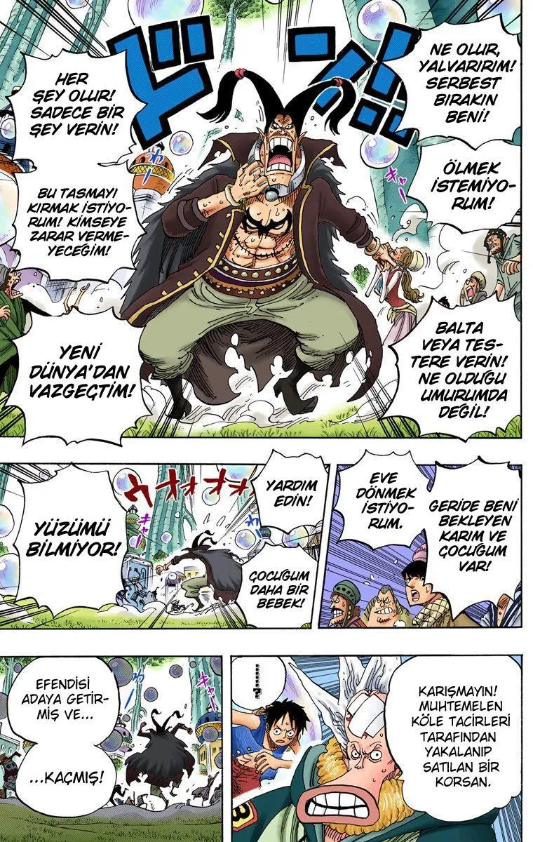 One Piece [Renkli] - Sayfa 14