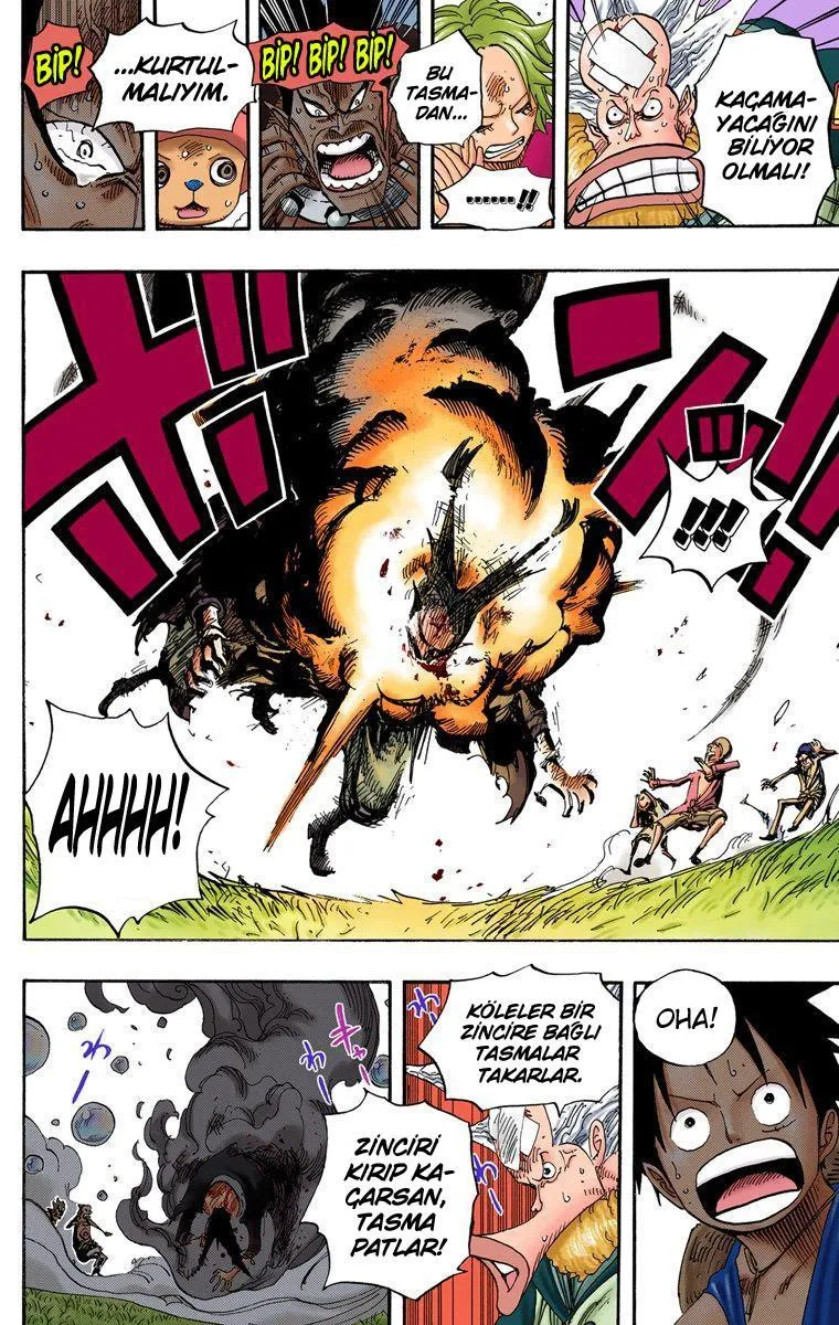 One Piece [Renkli] - Sayfa 15