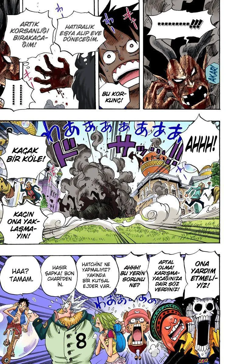 One Piece [Renkli] - Sayfa 16