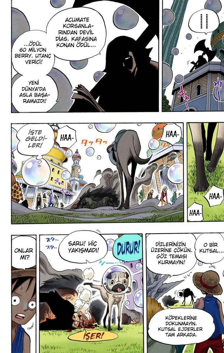 One Piece [Renkli] - Sayfa 17