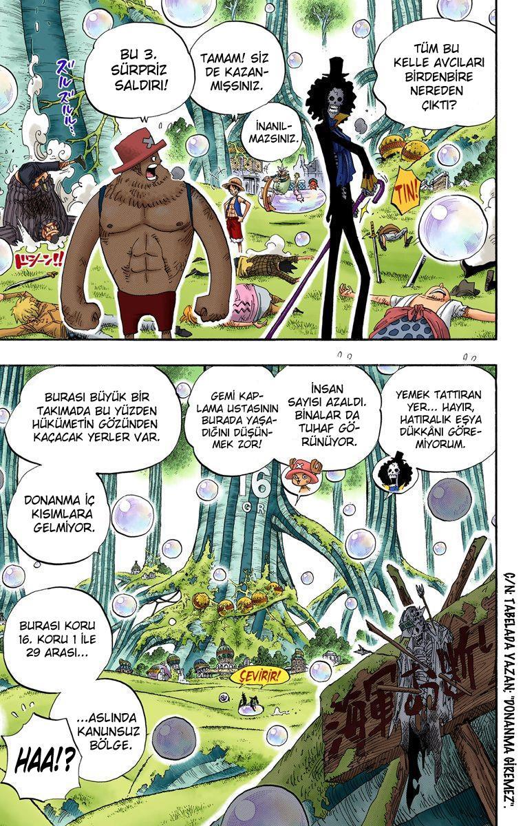 One Piece [Renkli] mangasının 0498 bölümünün 4. sayfasını okuyorsunuz.