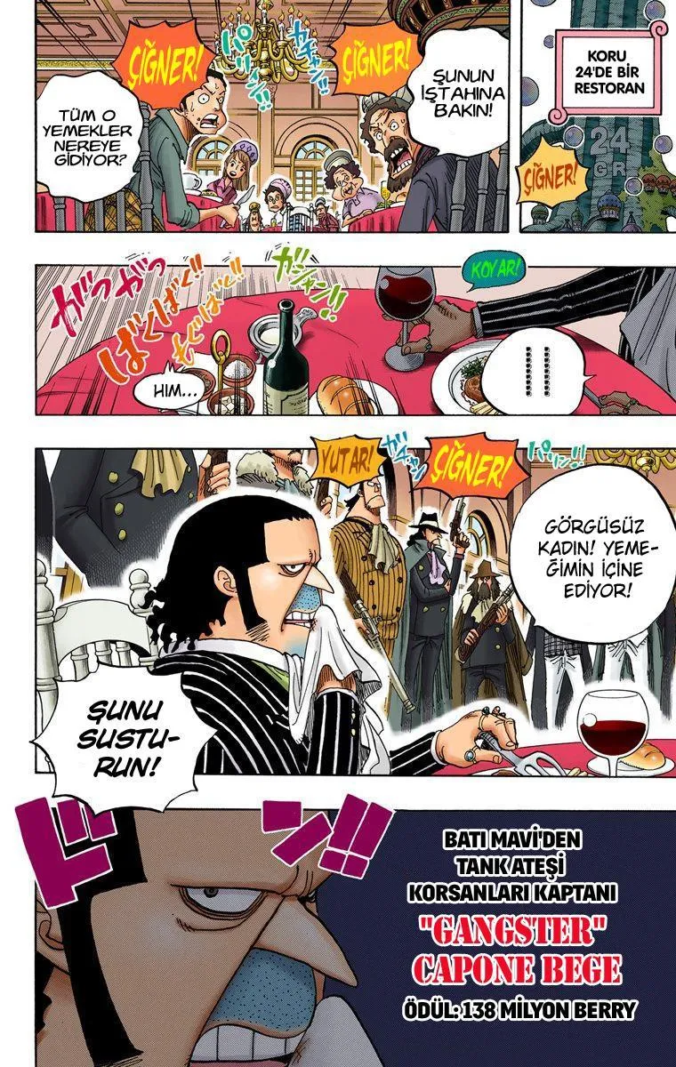 One Piece [Renkli] - Sayfa 13