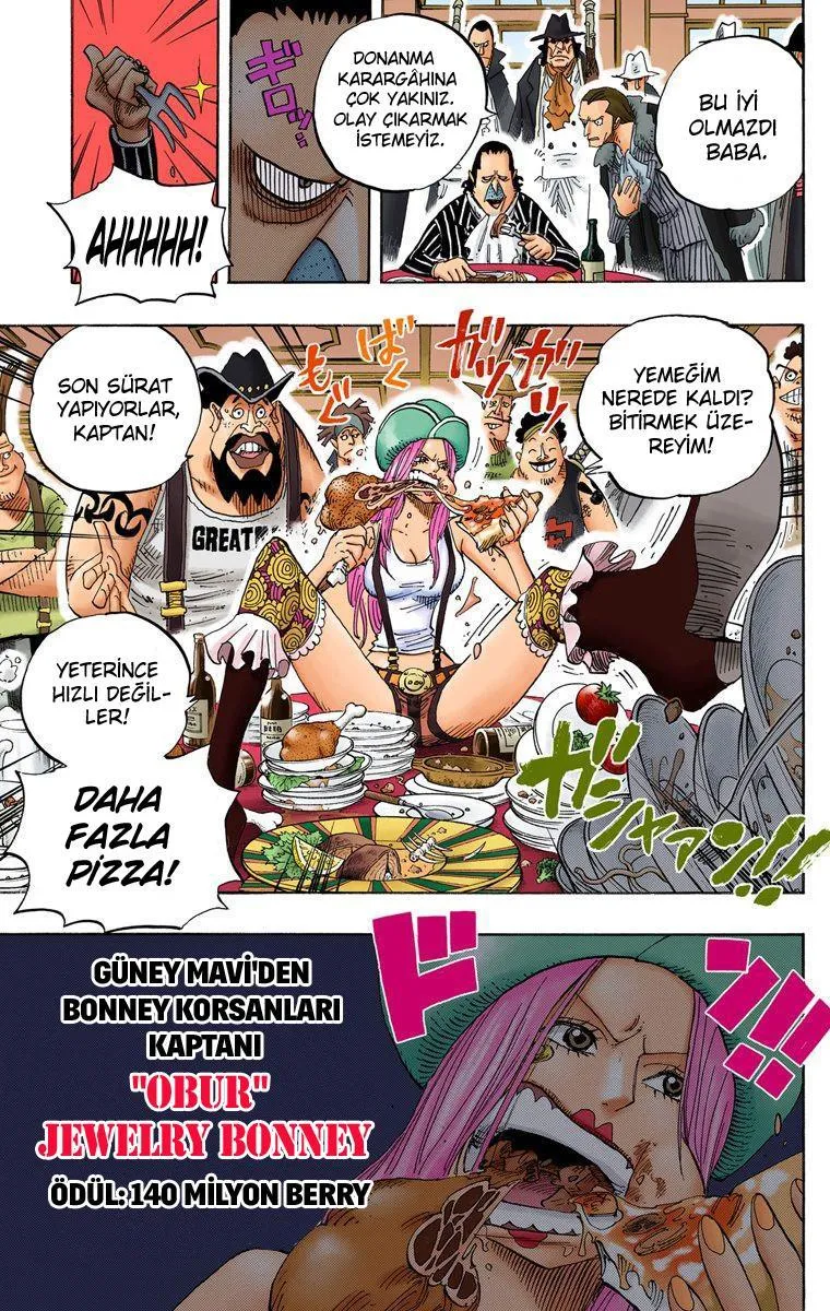 One Piece [Renkli] - Sayfa 14