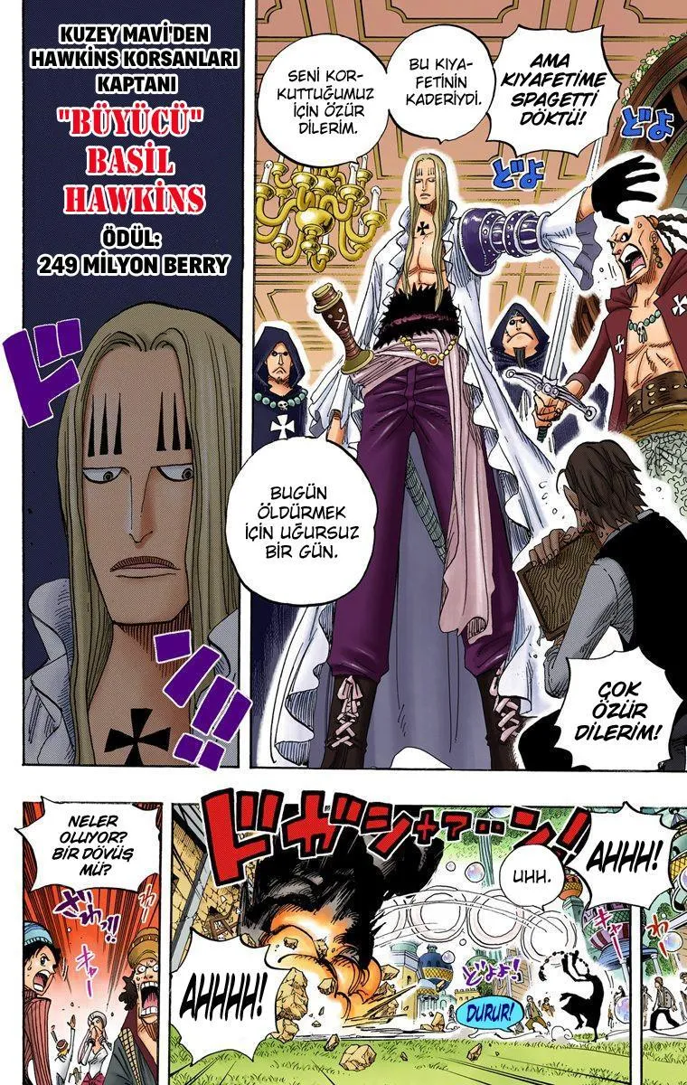 One Piece [Renkli] - Sayfa 15