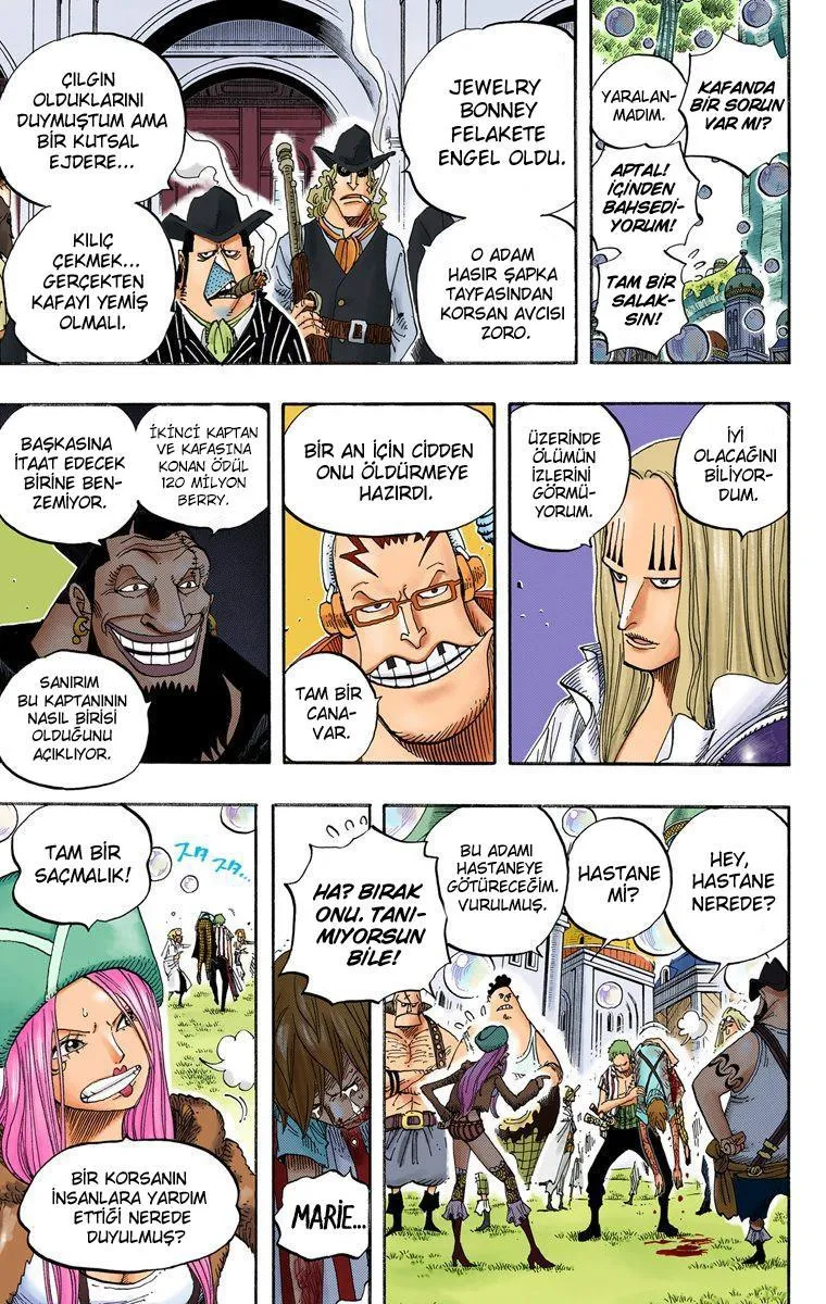 One Piece [Renkli] - Sayfa 17