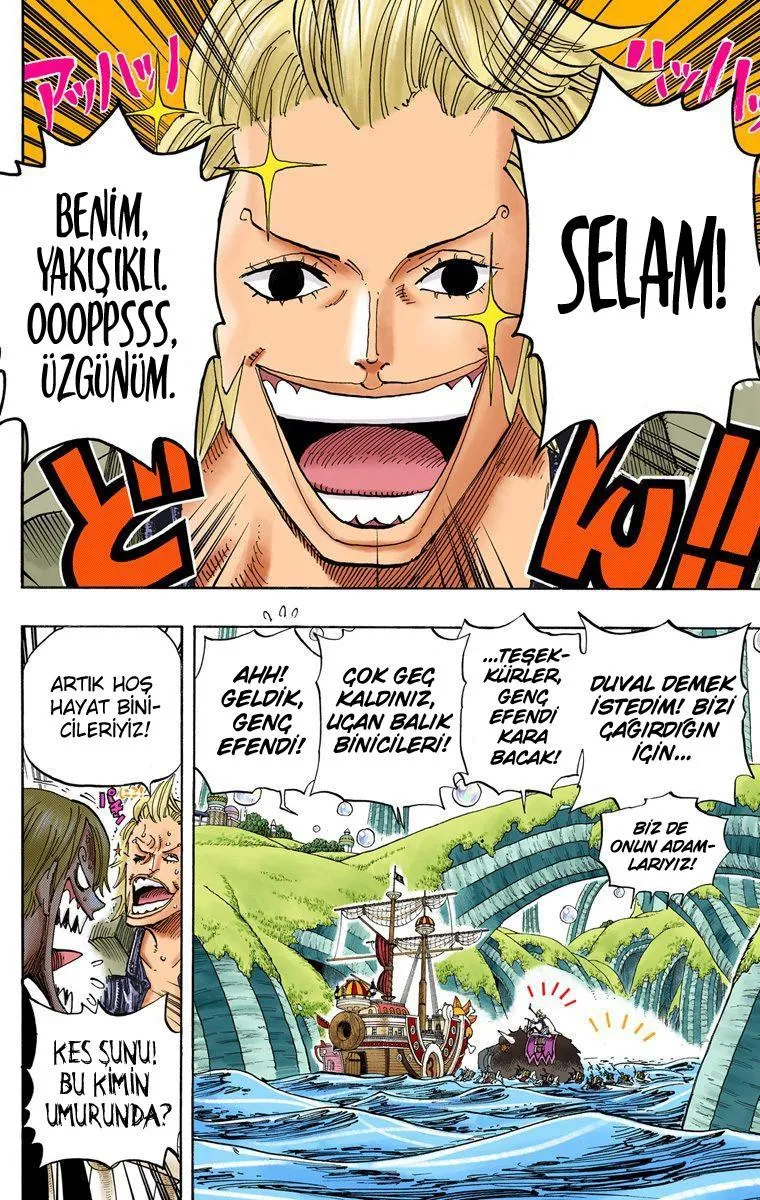 One Piece [Renkli] - Sayfa 3