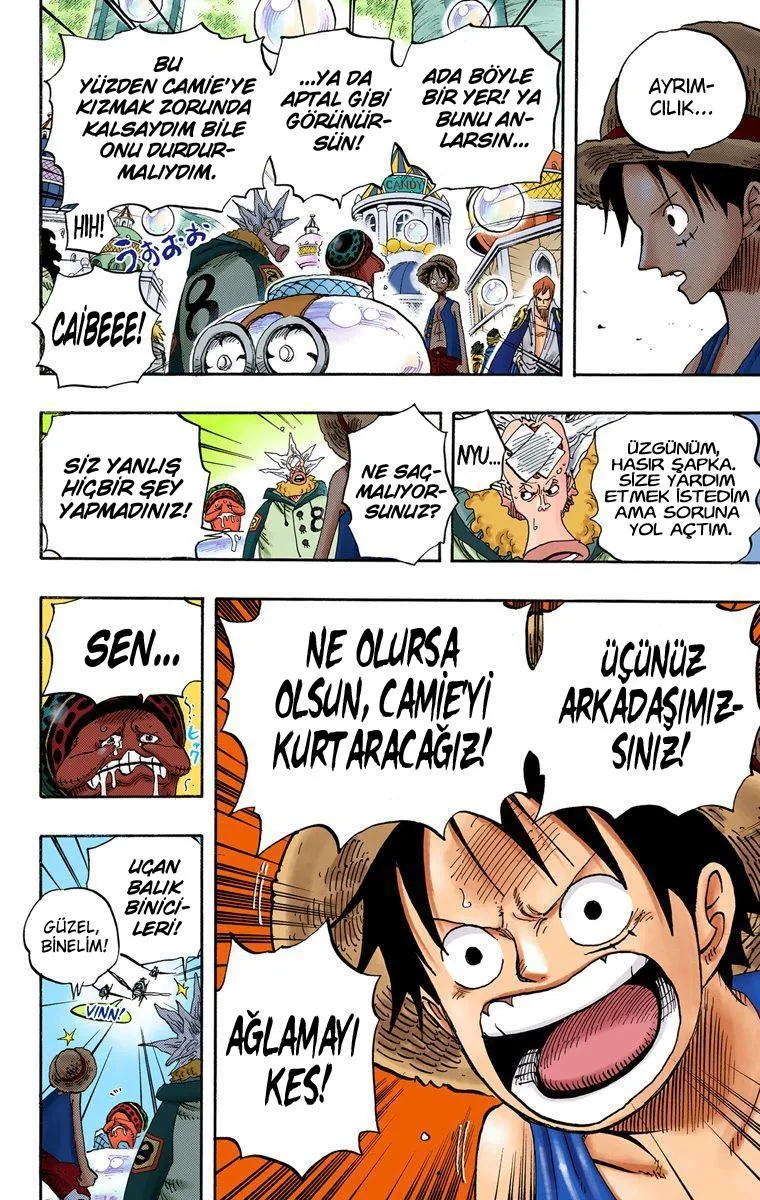 One Piece [Renkli] - Sayfa 13