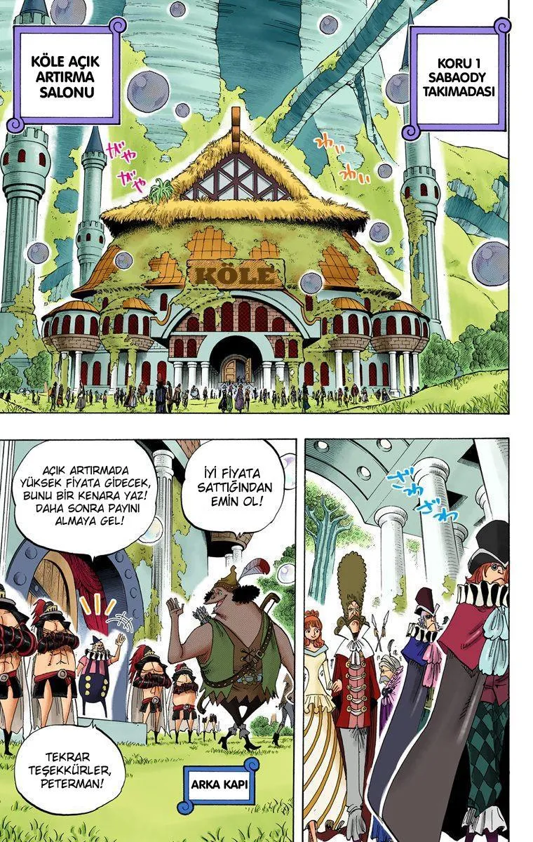 One Piece [Renkli] - Sayfa 14