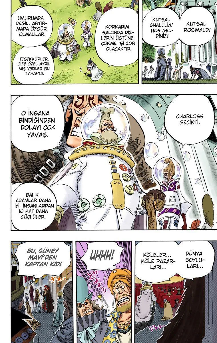One Piece [Renkli] - Sayfa 15