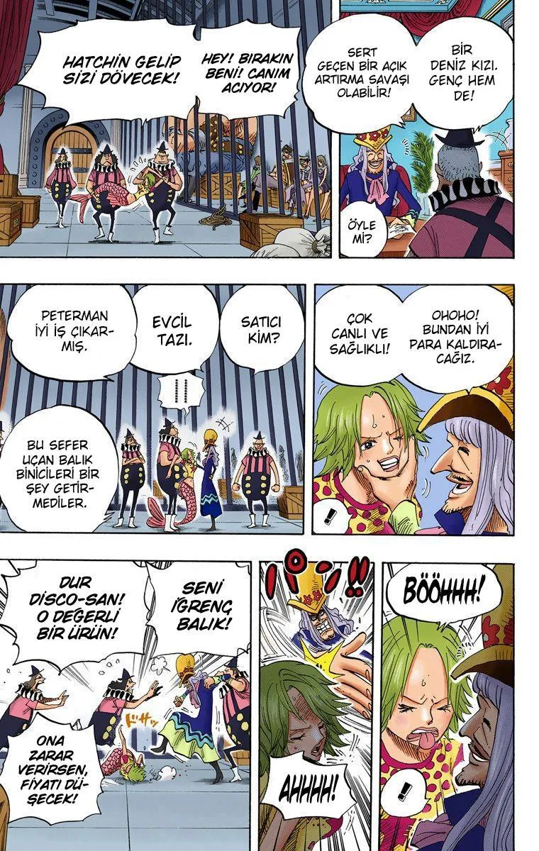 One Piece [Renkli] - Sayfa 18