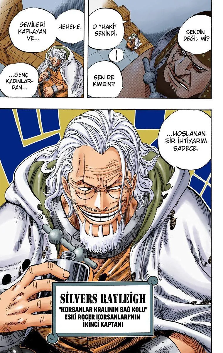 One Piece [Renkli] - Bölüm 0500 - Sayfa 20