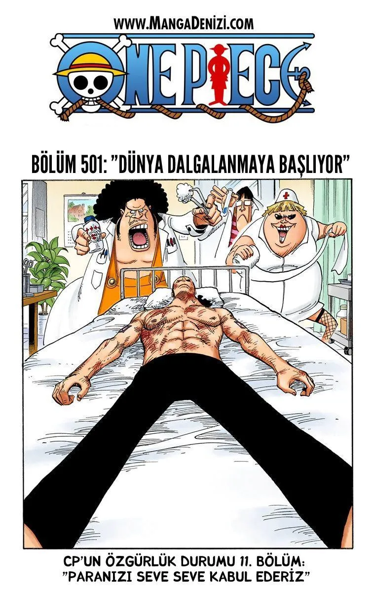 One Piece [Renkli] - Sayfa 2