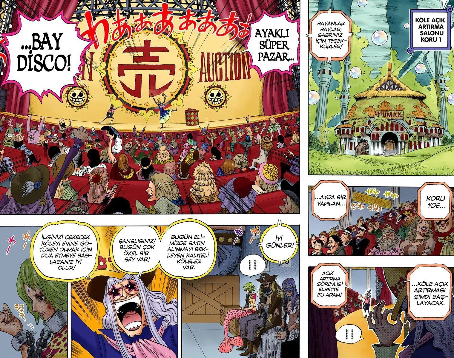 One Piece [Renkli] - Sayfa 5