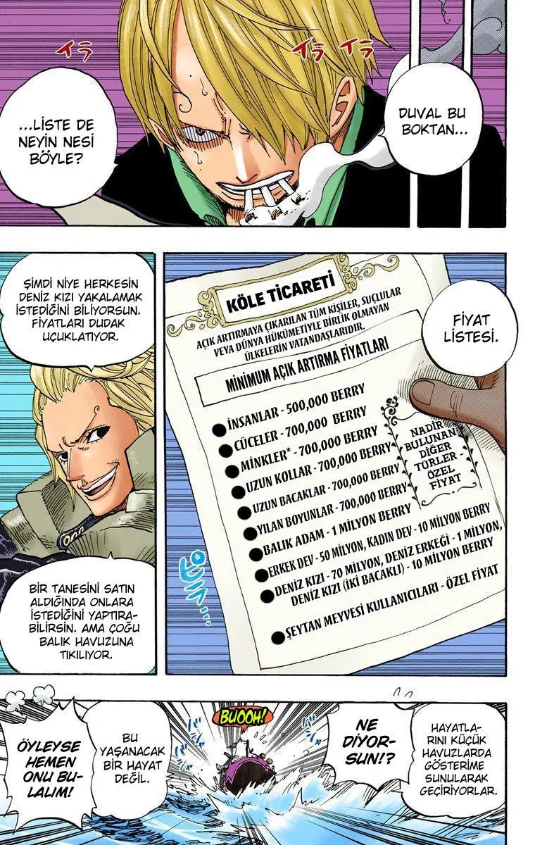 One Piece [Renkli] - Sayfa 7