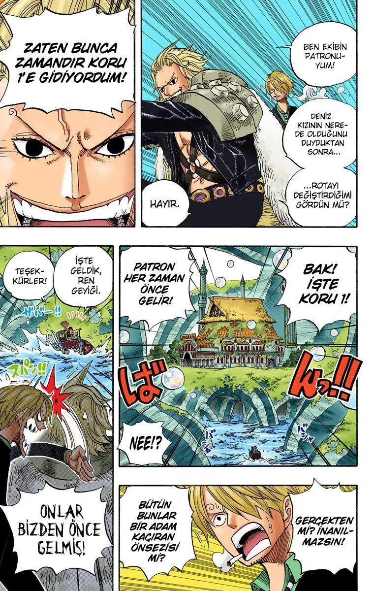 One Piece [Renkli] - Sayfa 11