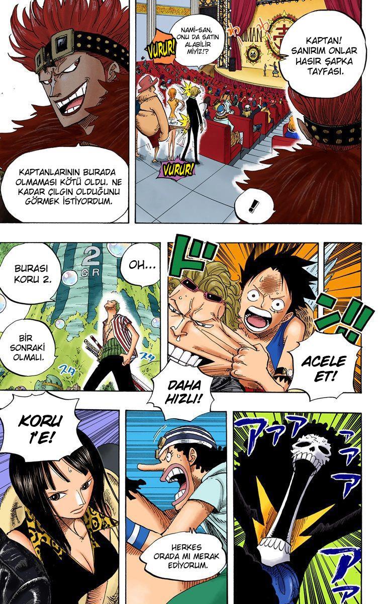 One Piece [Renkli] mangasının 0501 bölümünün 17. sayfasını okuyorsunuz.