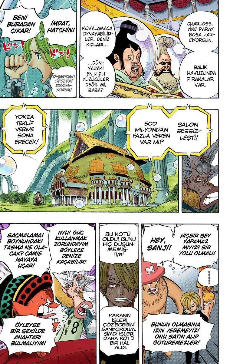 One Piece [Renkli] - Sayfa 10