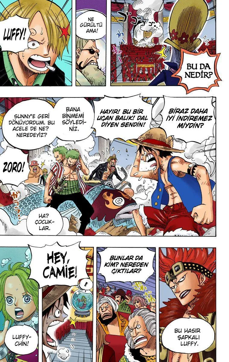 One Piece [Renkli] - Sayfa 12