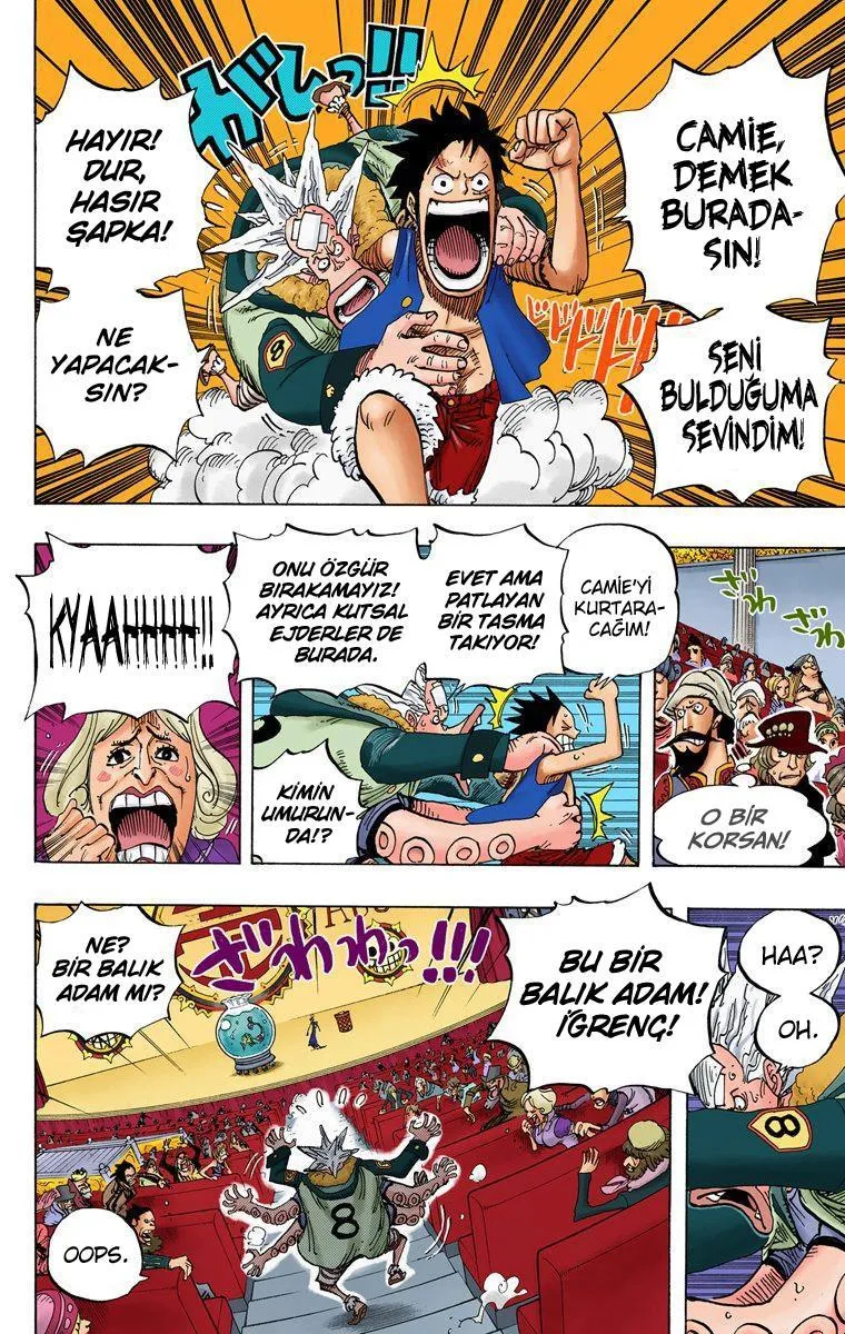 One Piece [Renkli] - Sayfa 13